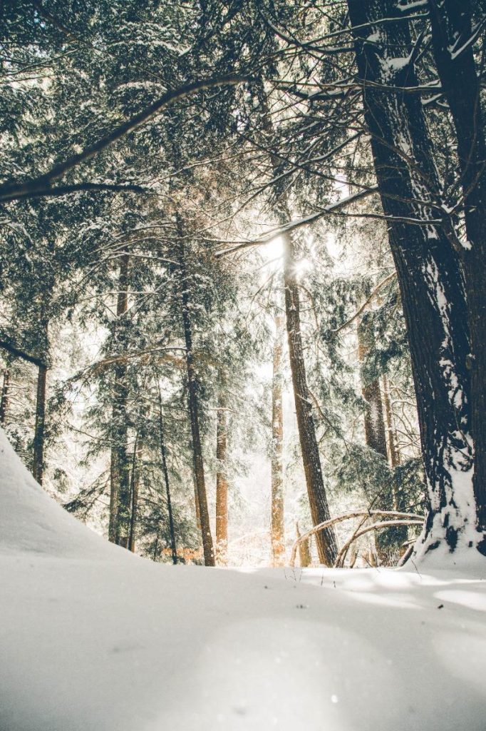 Understanding and Coping with Seasonal Depression